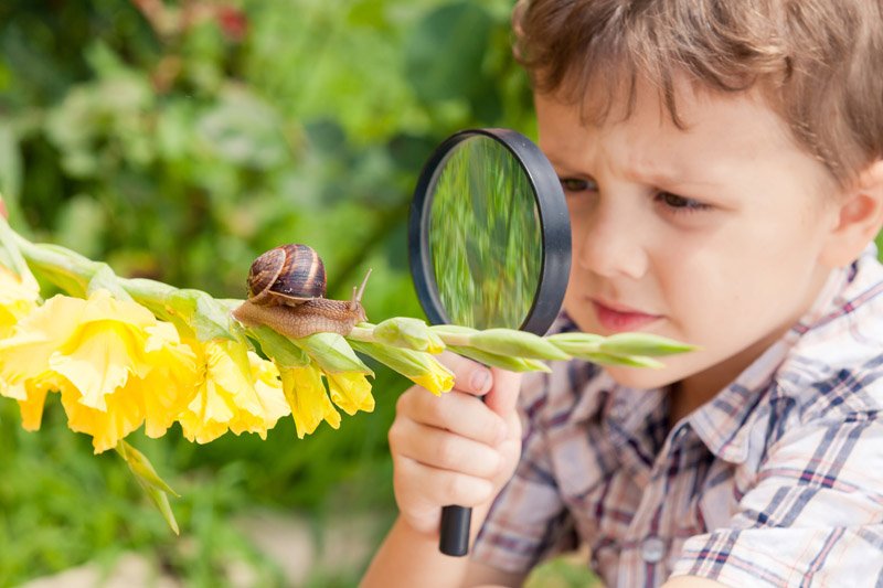 happy-little-boy-playing-in-the-park-with-snail-P35W269.jpg